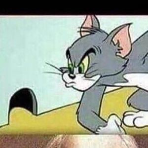 Meet your Posher, Bryce